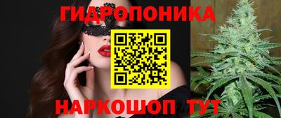 амф Гудермес