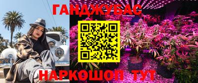 амф Гудермес