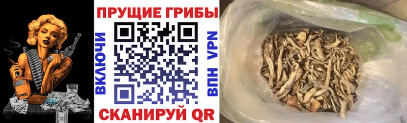 Галлюциногенные грибы MAGIC MUSHROOMS  Белово 