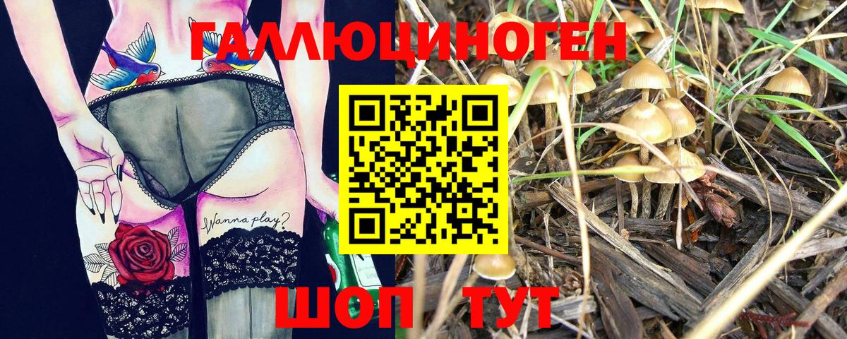 Белово  сколько стоит  Вход с VPN  Галлюциногенные грибы Psilocybine cubensis 